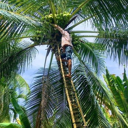 Coco Happy Farm Ben Tre Exterior foto