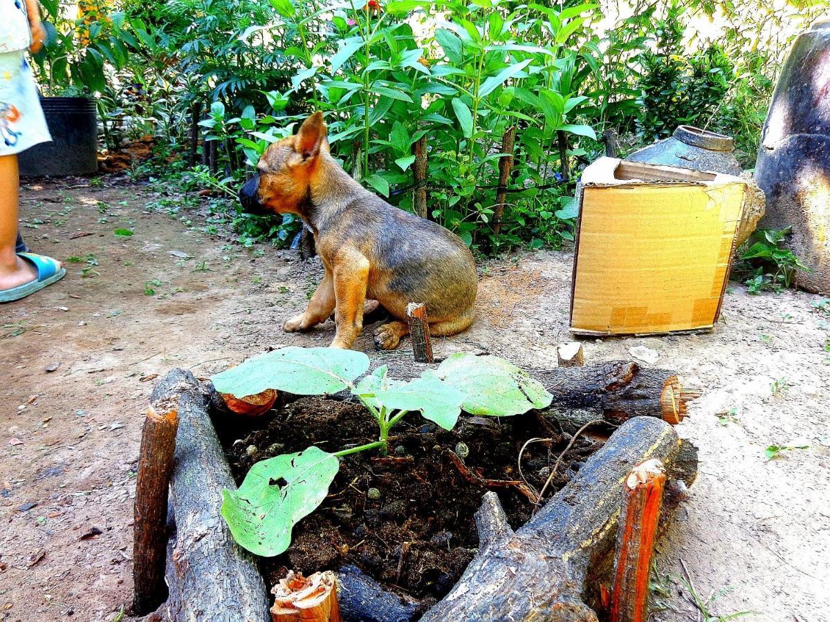 Coco Happy Farm Ben Tre Exterior foto