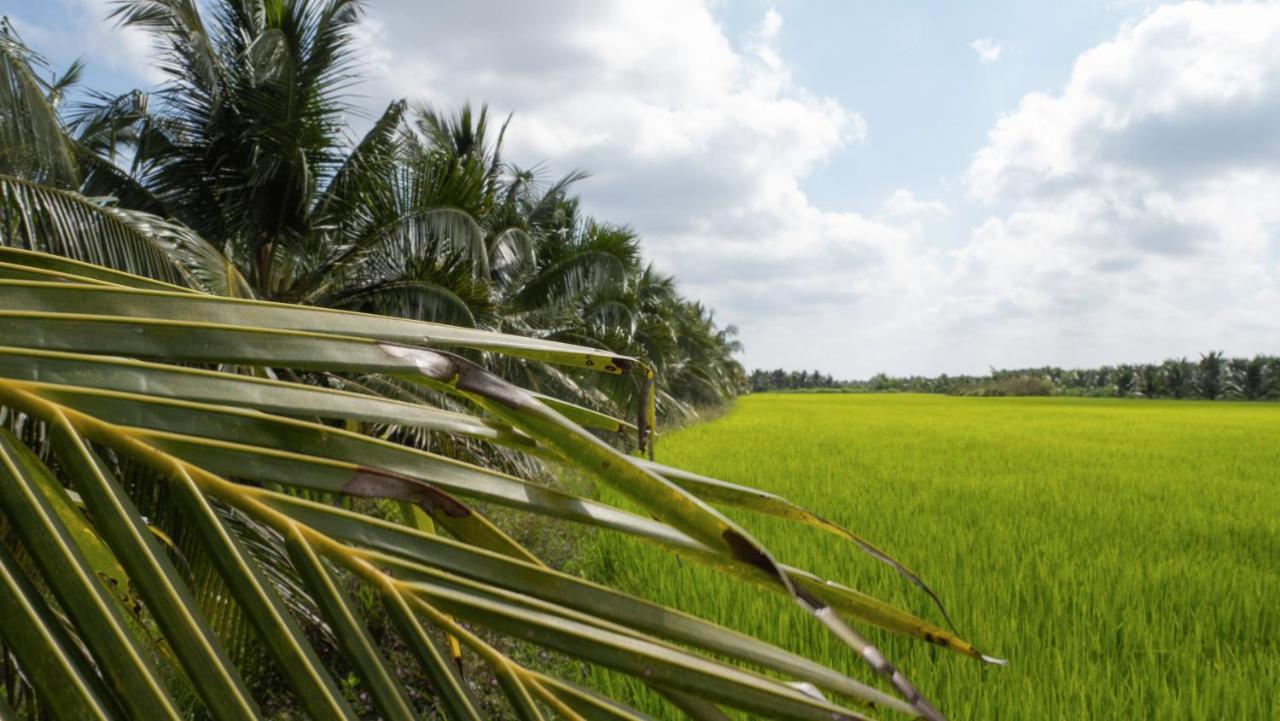 Coco Happy Farm Ben Tre Exterior foto