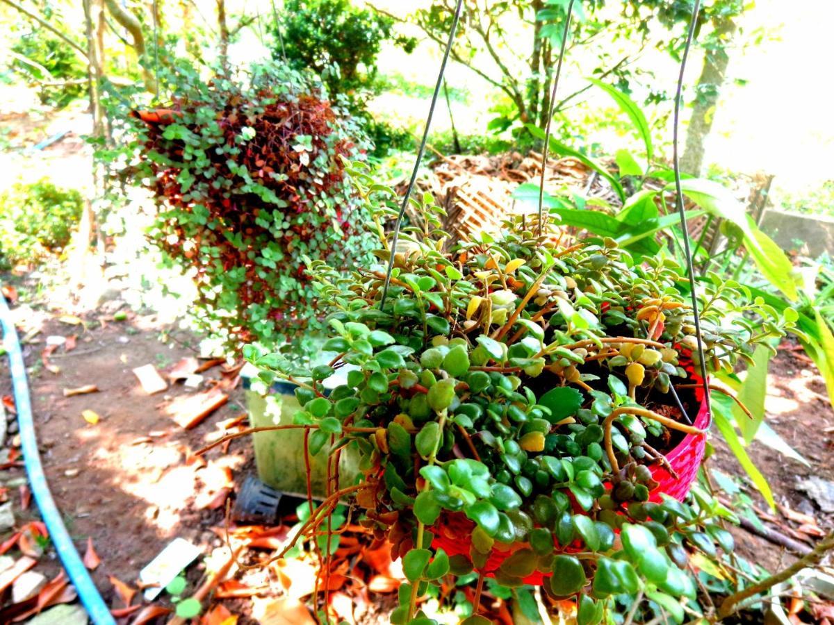 Coco Happy Farm Ben Tre Exterior foto