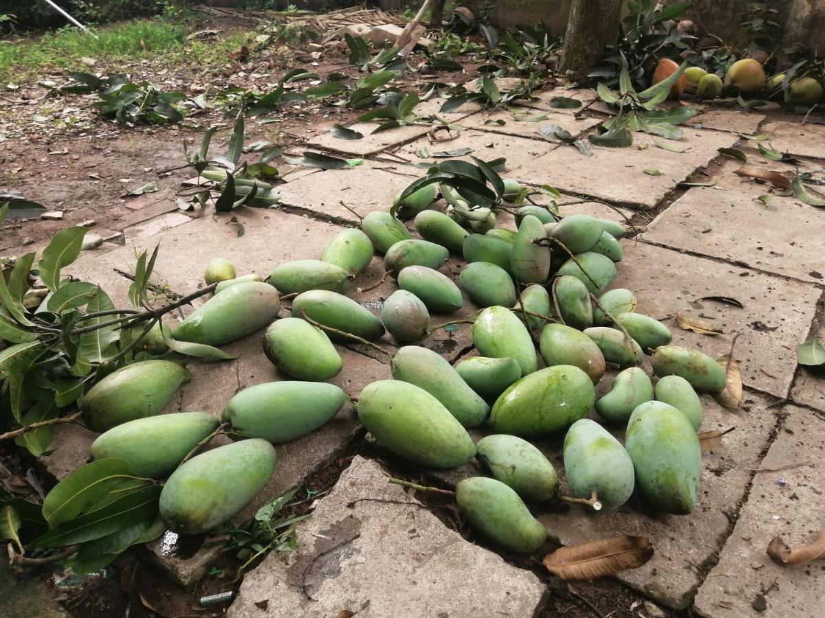 Coco Happy Farm Ben Tre Exterior foto