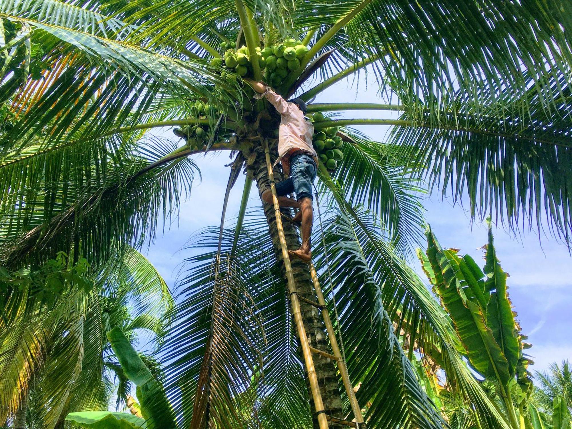 Coco Happy Farm Ben Tre Exterior foto