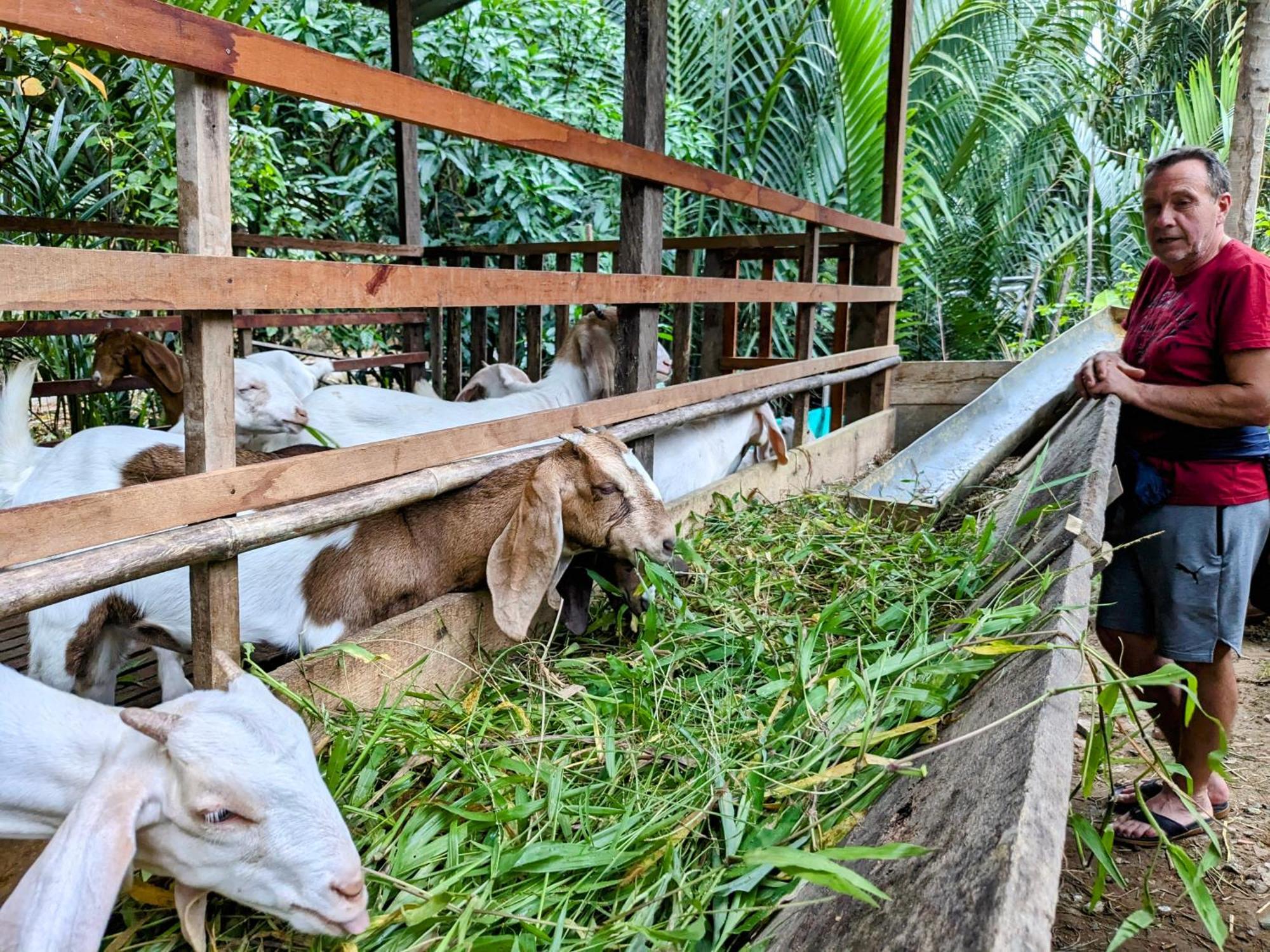 Coco Happy Farm Ben Tre Exterior foto